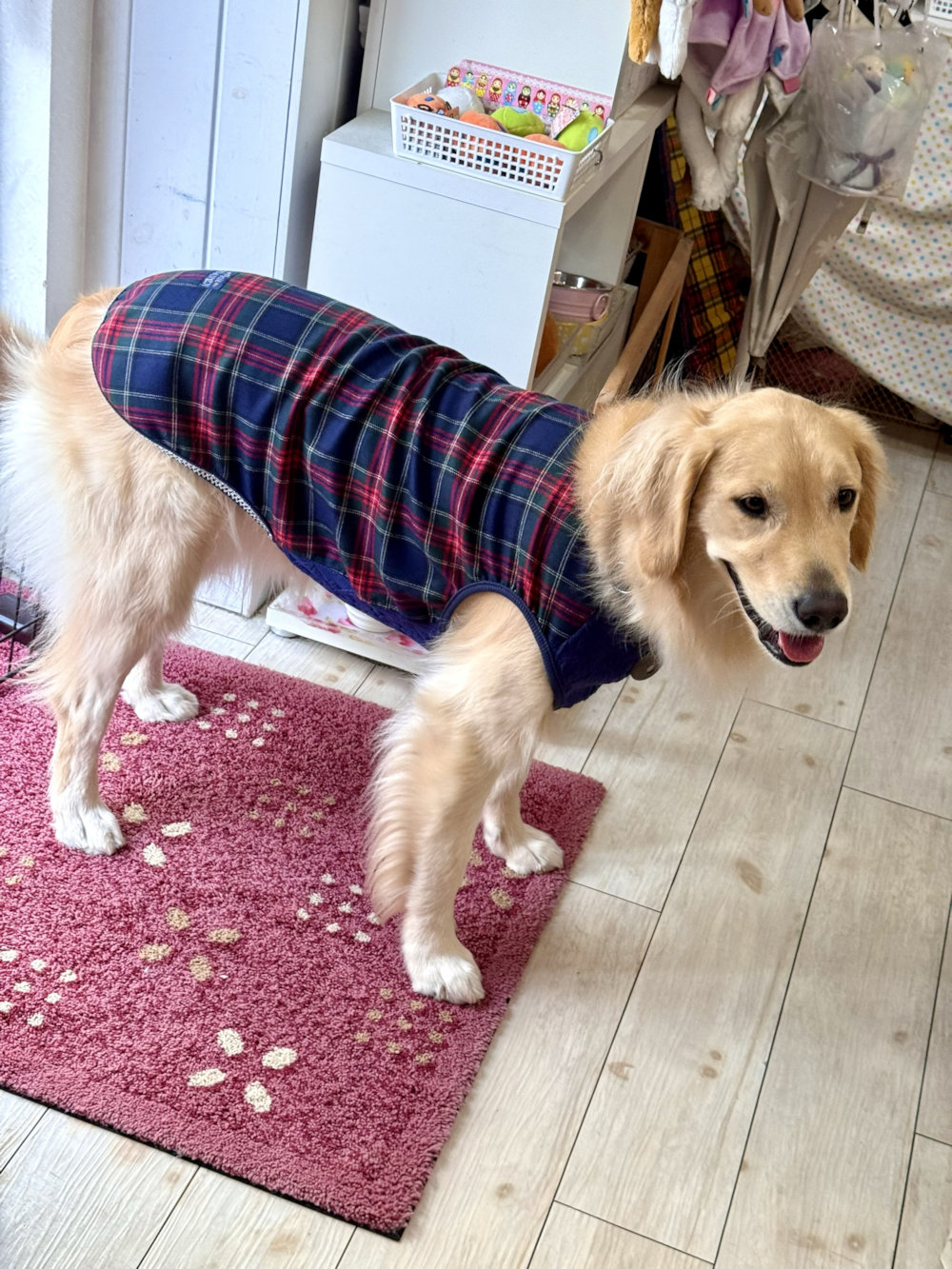 画像10: ネイビータータン☆タンク・８号