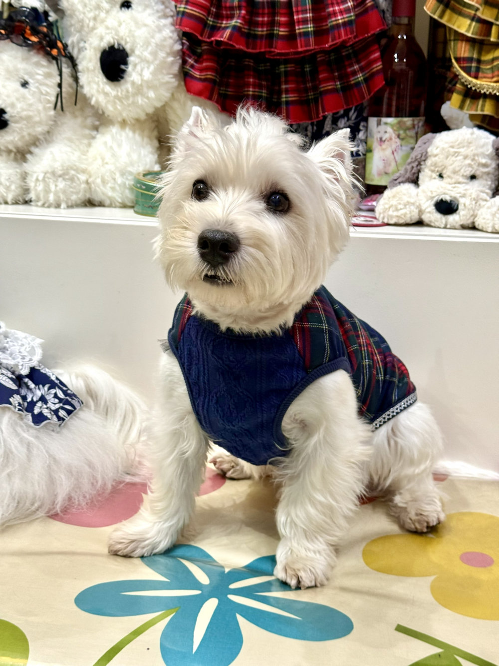 画像2: ネイビータータン☆タンク・８号