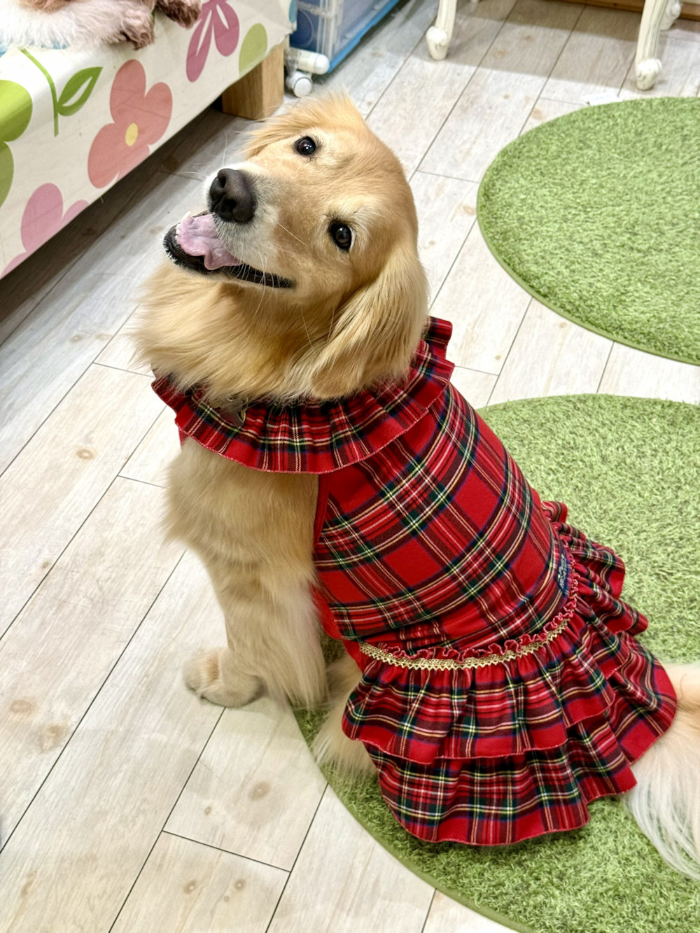 画像8: レッドタータン☆共布２段ガーリーワンピ・７号