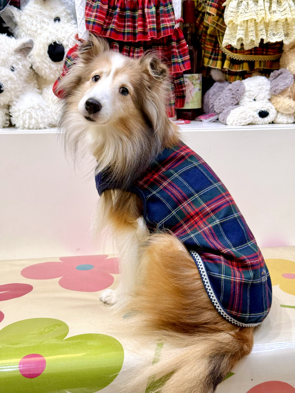 画像6: ネイビータータン☆タンク・８号