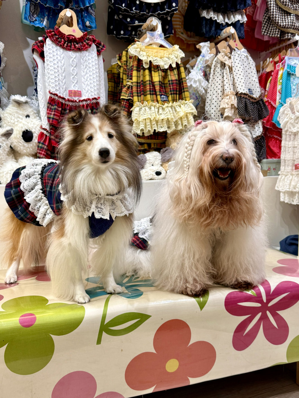 画像4: ネイビータータン☆レース付きガーリーワンピ・３号