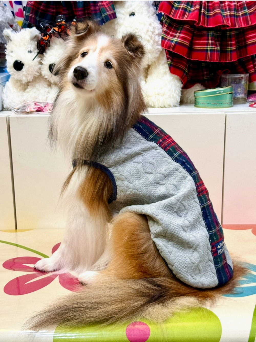 画像4: アランキルトニット☆タータンラインタンク（グレー）・６号