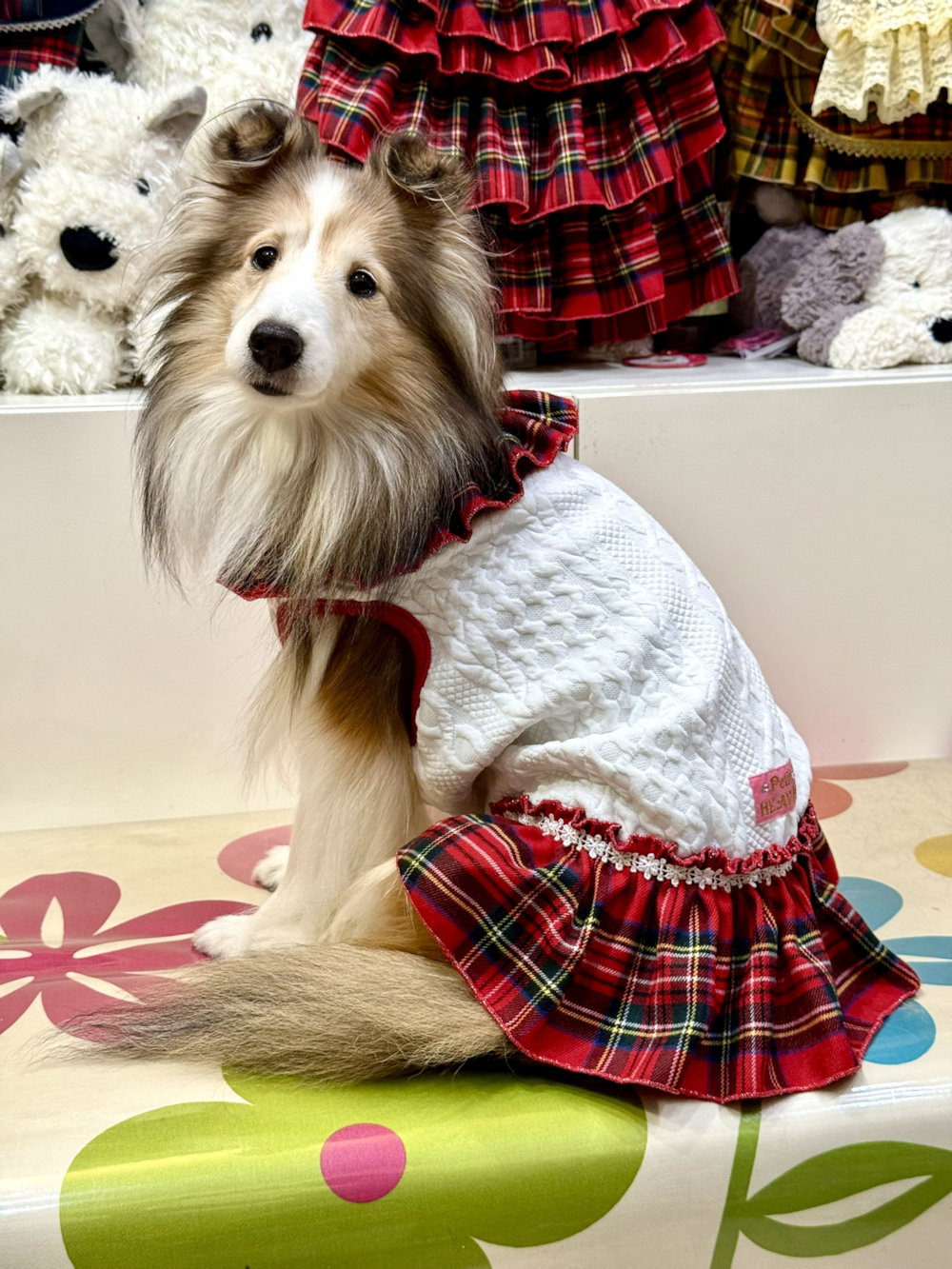 画像: アランキルトニット☆タータンフリルワンピ（ホワイト）・６号