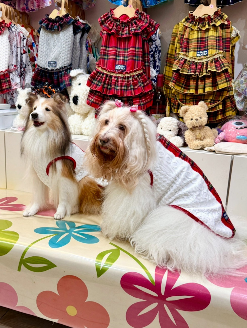 画像5: アランキルトニット☆タータンラインタンク（ホワイト）・６号