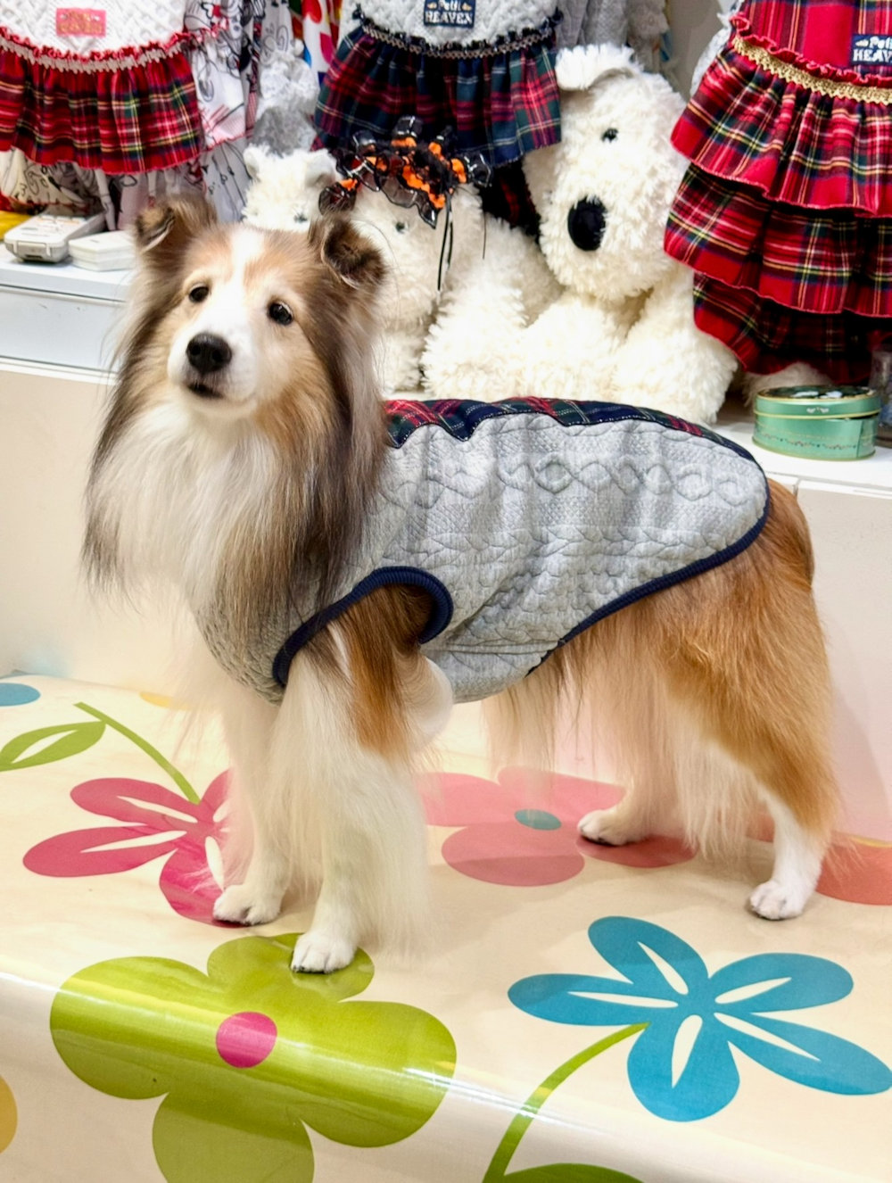 画像3: アランキルトニット☆タータンラインタンク（グレー）・６号