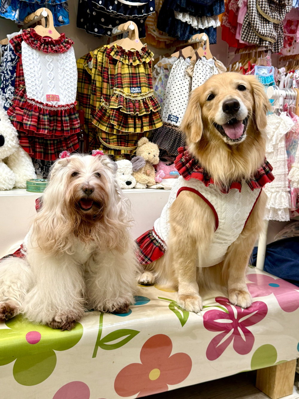 画像5: アランキルトニット☆タータンフリルワンピ（ホワイト）・６号