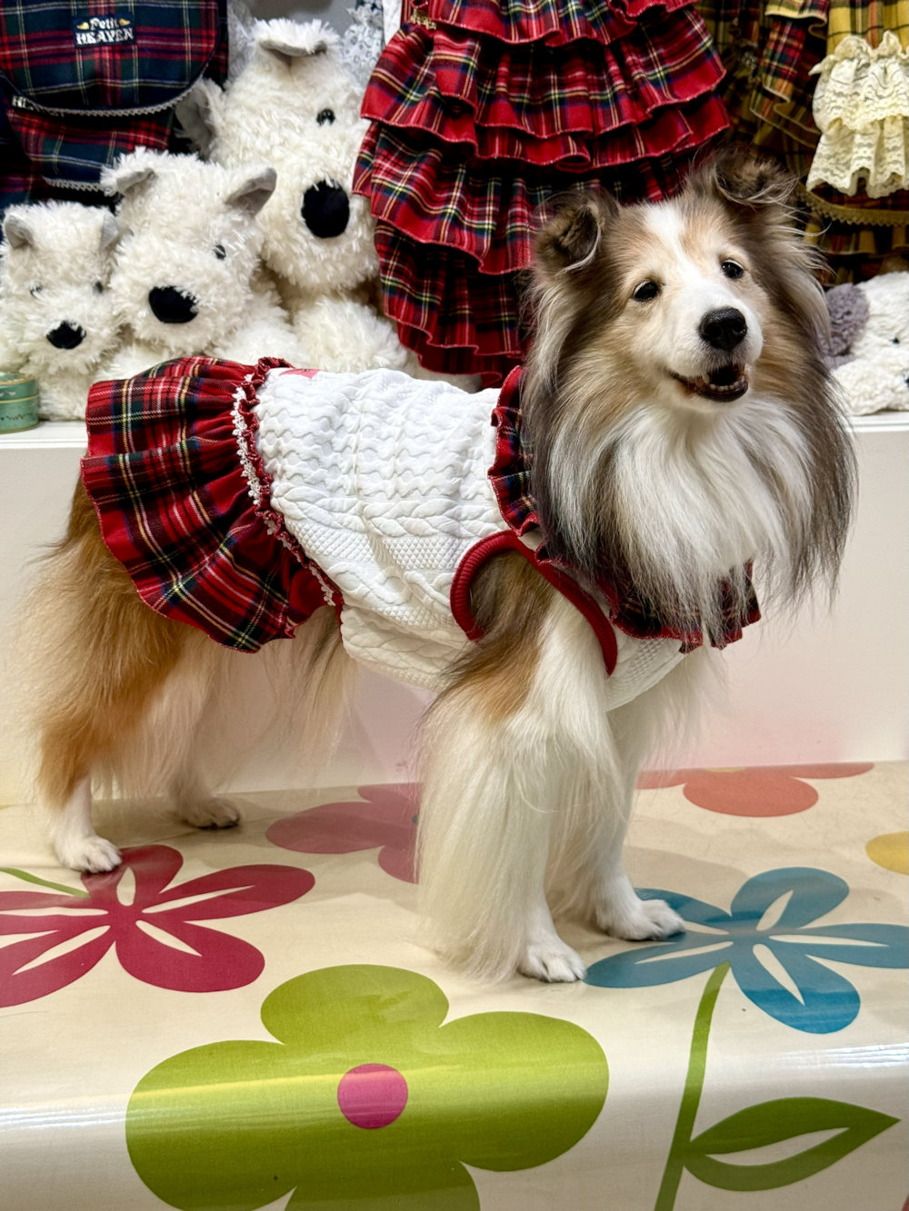 画像2: アランキルトニット☆タータンフリルワンピ（ホワイト）・６号